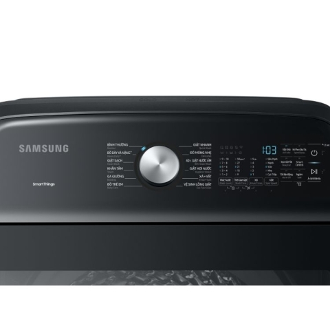 Máy Giặt Samsung Inverter 23.0Kg WA23A8377GV/SV