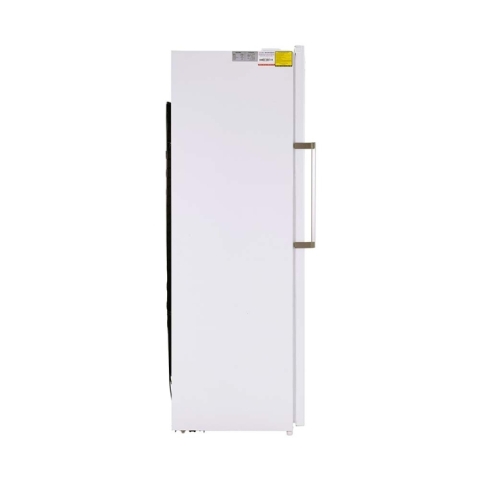 Tủ đông đứng Alaska 310 lít IF-290N