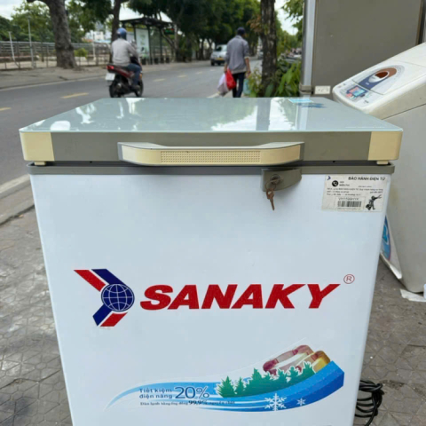 Tủ đông Sanaky 100 lít 