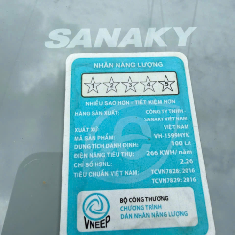 Tủ đông Sanaky 100 lít 