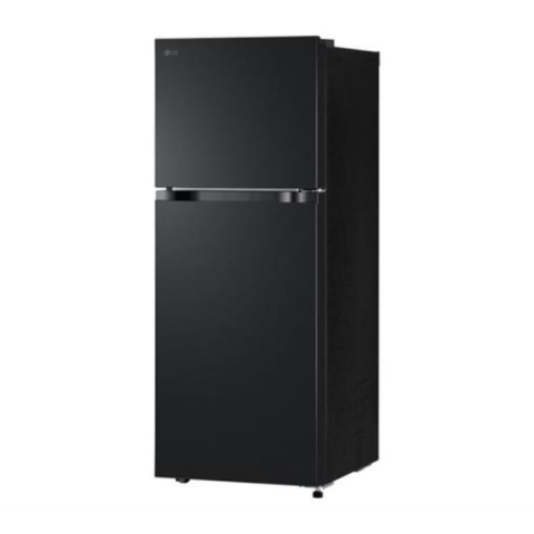 Tủ lạnh LG Inverter 217 lít LTB21BLMI