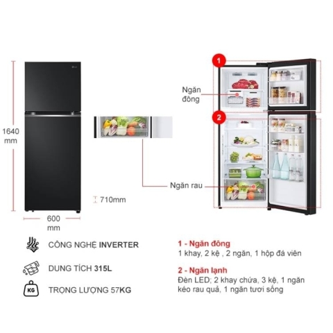 Tủ Lạnh LG Inverter 315 lít LTB31BLM