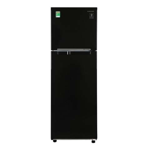 Tủ lạnh Samsung Inverter 256 lít RT25M4032BU/SV