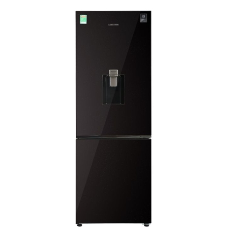 Tủ lạnh Samsung Inverter 307 lít RB30N4190BY/SV