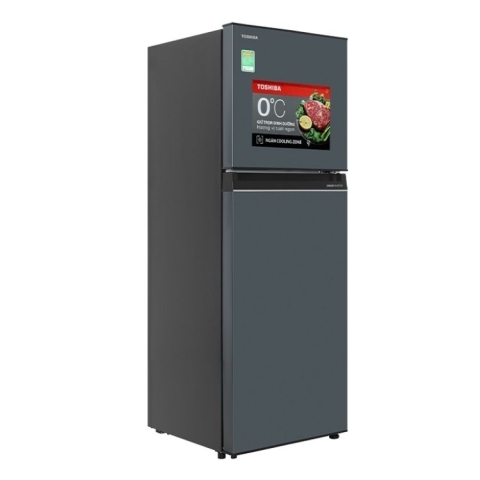 Tủ Lạnh Toshiba Inverter 253 lít GR-RT329WE-PMV(52)