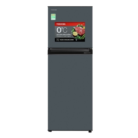 Tủ Lạnh Toshiba Inverter 253 lít GR-RT329WE-PMV(52)