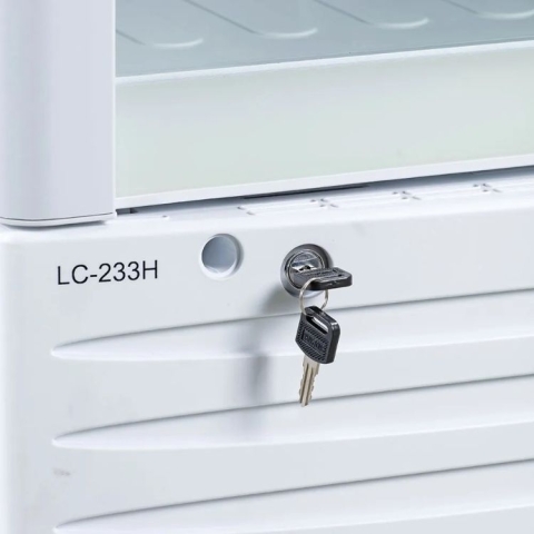 Tủ mát Alaska 205 Lít LC-233H (NEW)
