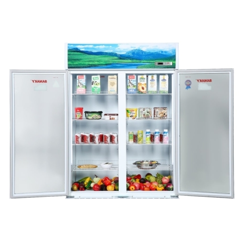 Tủ mát Inverter Sanaky 1200/1100 lít VH-1209HP3