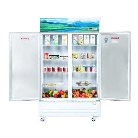 Tủ mát Inverter Sanaky 1200/1100 lít VH-1209HP3
