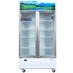 Tủ mát Sanaky Inverter VH-1009HP3 1000 lít