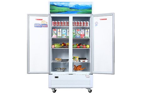 Tủ mát Sanaky Inverter VH-1009HP3 1000 lít