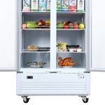 Tủ mát Sanaky Inverter VH-1009HP3 1000 lít