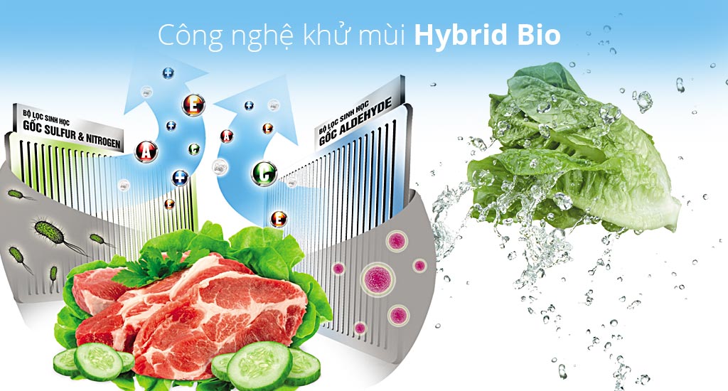 cong-nghe-hybrid-bio