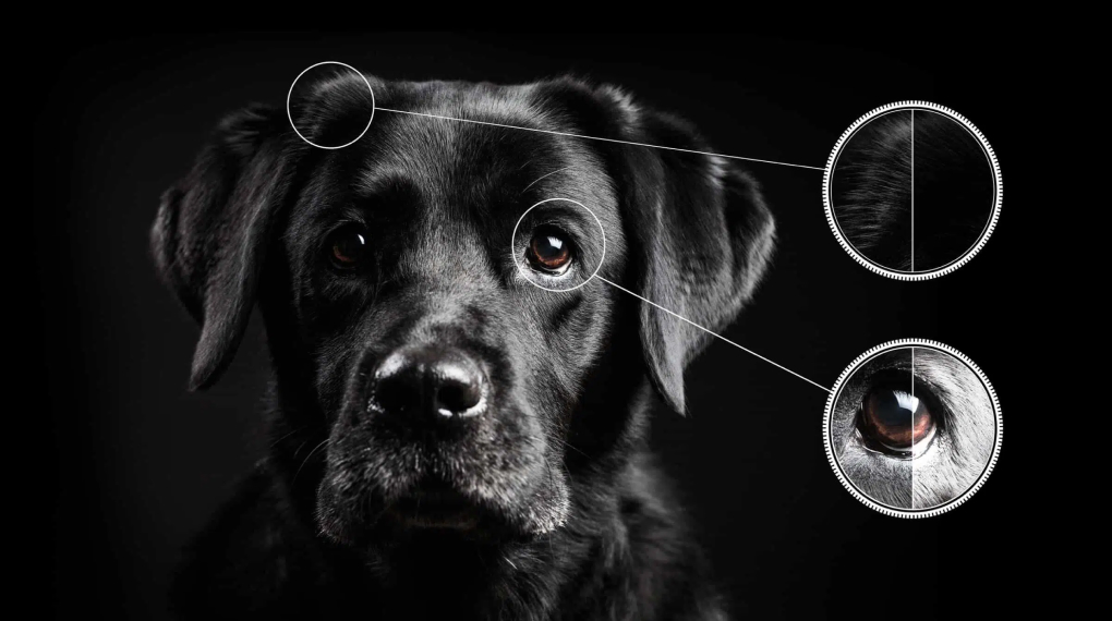 Google TV QD-Mini LED TCL 4K 75C755 - Ai-Contrast