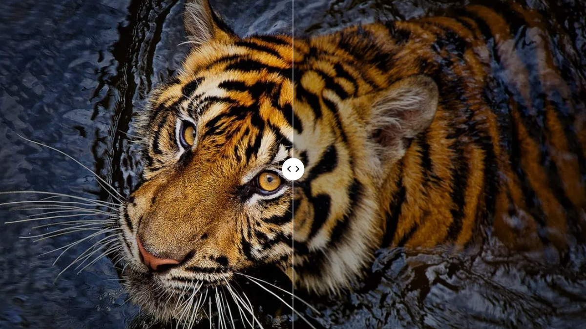 AI-Clarity giúp hiển thị hình ảnh rõ nét đến từng chi tiết