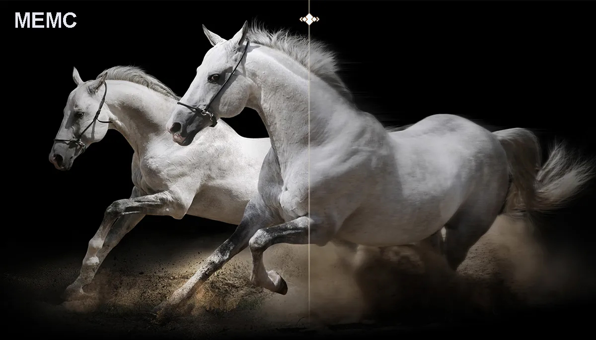 google-tivi-xiaomi-qled-4k-85-inch-l100ma-maxea-81173-1 Công nghệ bù chuyển động MEMC giúp hiển thị cảnh quay nhanh mượt mà, rõ nét hơn