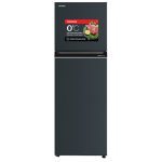 Tủ lạnh Toshiba Inverter 253 lít GR-RT329WE-PMV(52)