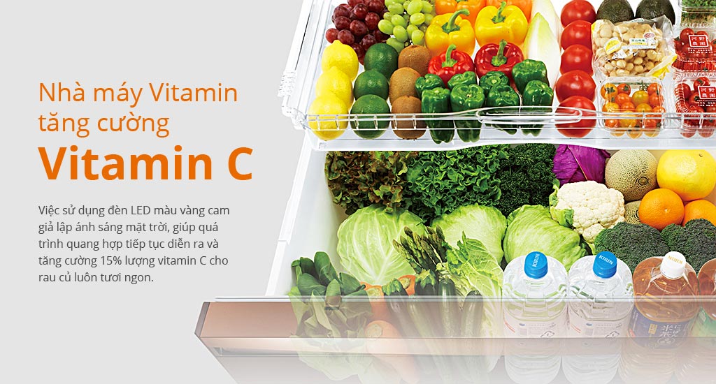 nha-may-vitaminc-11