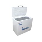 Tủ đông Alaska 300 lít BD 300
