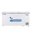 Tủ đông Alaska 650 Lít HB 650N