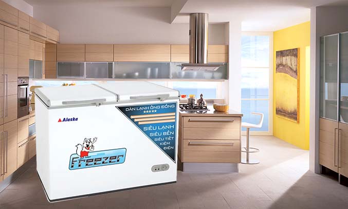 Tủ đông Alaska BCD-3068C dung tích lớn