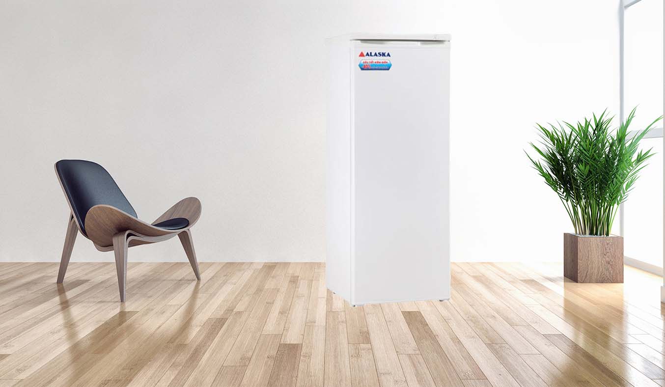 Tủ đông Alaska IF-21 hiện đại