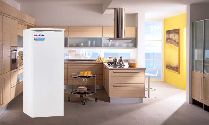 Tủ đông Alaska IF-21 Tủ đông Alaska IF-21 dung tích lớn