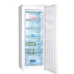 Tủ đông Alaska IF-21