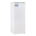 Tủ đông Alaska IF-21