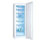 Tủ đông đứng Alaska 250 Lít IF 25