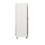 Tủ đông đứng Alaska 450 Lít IFC-45G