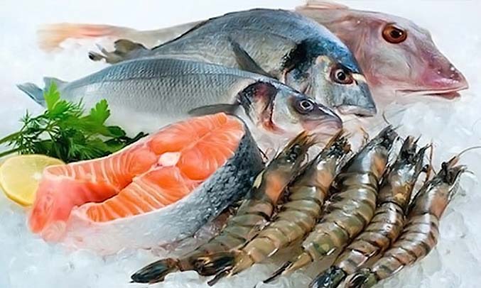 Tủ đông Sanaky VH 2899A3 vận hành êm ái