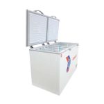 Tủ đông Sanaky VH-668W2