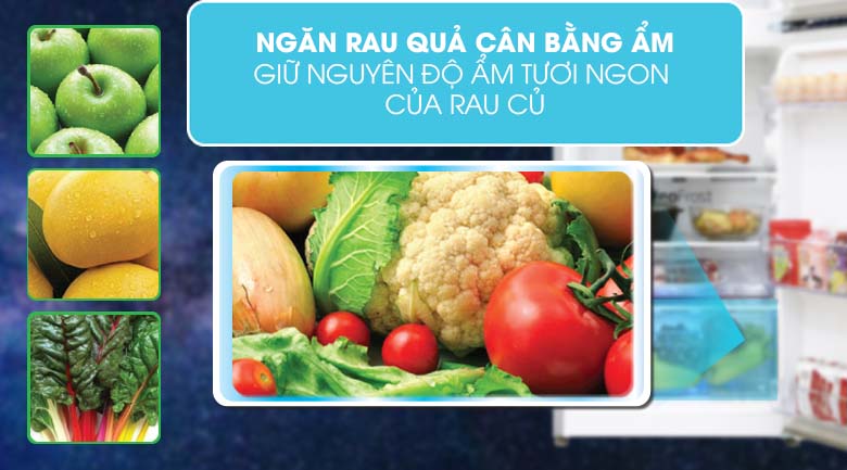 Ngăn rau - Tủ lạnh Aqua Inverter 186 lít AQR-T219FA Ngăn rau - Tủ lạnh Aqua Inverter 186 lít AQR-T219FA