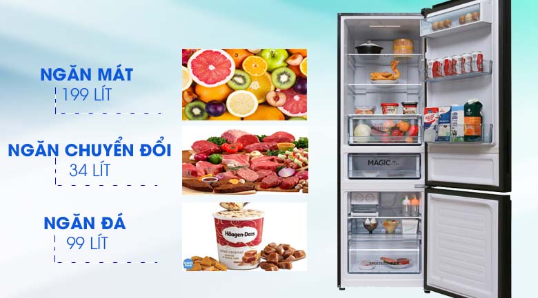 Dung tích - Tủ lạnh Toshiba Inverter 305 lít GR-AG36VUBZ Dung tích - Tủ lạnh Toshiba Inverter 305 lít GR-AG36VUBZ