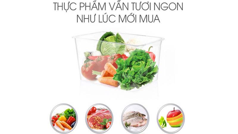 Chức năng holiday cho thực phẩm vẫn tươi ngon trong thời gian dài Chức năng holiday cho thực phẩm vẫn tươi ngon trong thời gian dài