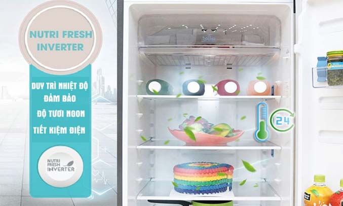 tu-lanh-electrolux-inverter-492-lit-ese5301ag-vn-p2-1 Tủ lạnh Electrolux 541 lít ESE5301AG tiết kiệm điện