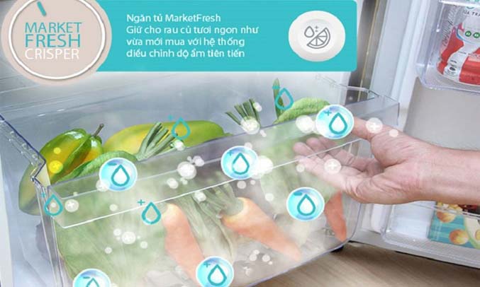 tu-lanh-electrolux-inverter-492-lit-ese5301ag-vn-p4-1 Tủ lạnh Electrolux 541 lít ESE5301AG giữ ẩm tối ưu