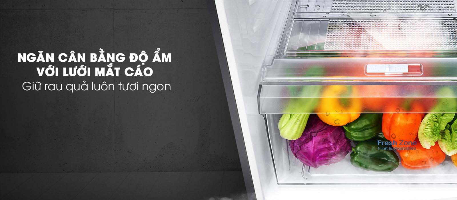 Ngăn cân bằng độ ẩm lưới mắt cáo hiện đại - Tủ lạnh LG Inverter 255 lít GN-M255BL Ngăn cân bằng độ ẩm lưới mắt cáo hiện đại - Tủ lạnh LG Inverter 255 lít GN-M255BL
