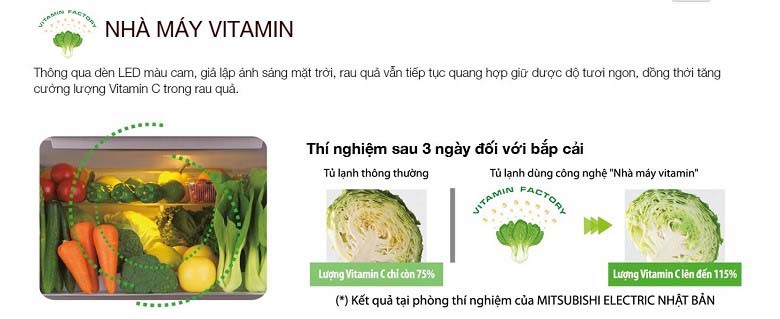Nhà máy Vitamin ngay bên trong tủ Nhà máy Vitamin ngay bên trong tủ