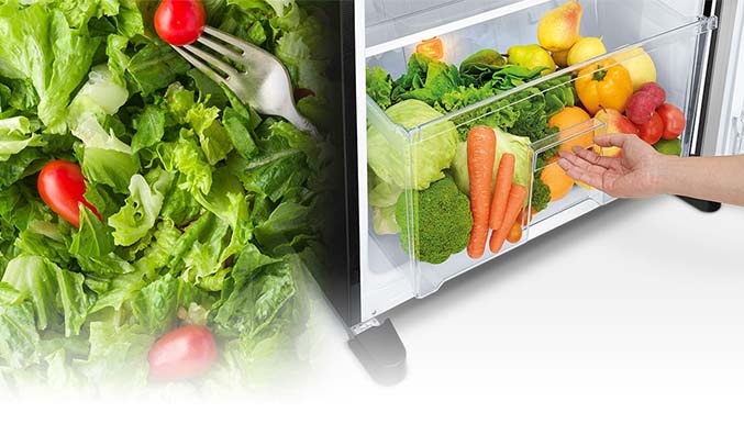 tu-lanh-mitsubishi-electric-inverter-376-lit-mr-fx47en-gsl-v-p3-1 Tủ lạnh Mitsubishi Electric 376 lít MR-FX47EN-GSL-V (2 cửa) ngăn rau quả lớn