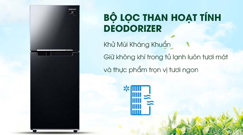 Bộ lọc than hoạt tính Deodorizer - Tủ lạnh Samsung Inverter 208 lít RT20HAR8DBU/SV Bộ lọc than hoạt tính Deodorizer - Tủ lạnh Samsung Inverter 208 lít RT20HAR8DBU/SV