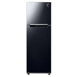 Tủ lạnh Samsung Inverter 256 lít RT25M4032BU/SV