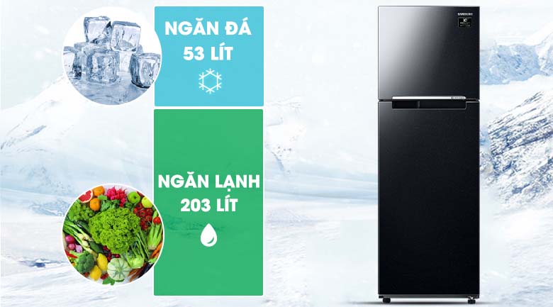256 lít - Tủ lạnh Samsung RT25M4032BU/SV 256 lít - Tủ lạnh Samsung RT25M4032BU/SV