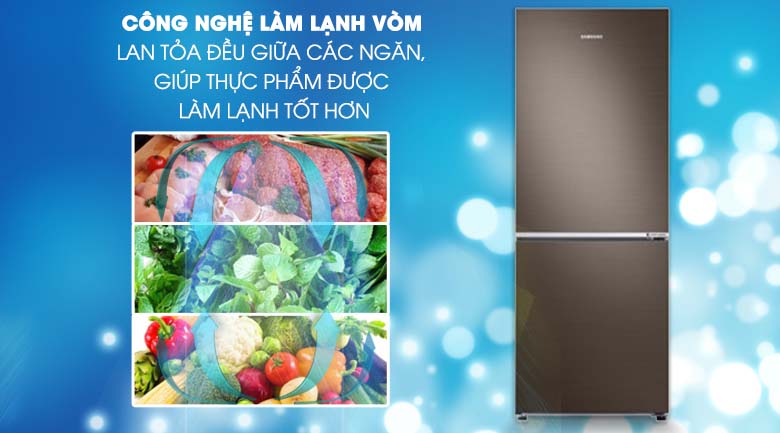 Công nghệ làm lạnh dạng vòm - Tủ lạnh Samsung Inverter 276 lít RB27N4010DX/SV Công nghệ làm lạnh dạng vòm - Tủ lạnh Samsung Inverter 276 lít RB27N4010DX/SV