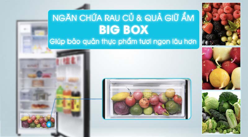 Ngăn rau BigBox Ngăn rau BigBox
