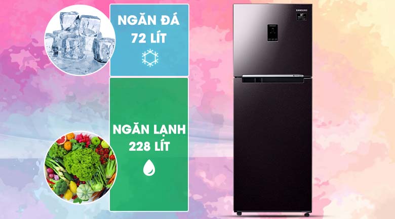 Dung tích - Tủ lạnh Samsung Inverter 300 lít RT29K5532BY/SV Dung tích - Tủ lạnh Samsung Inverter 300 lít RT29K5532BY/SV