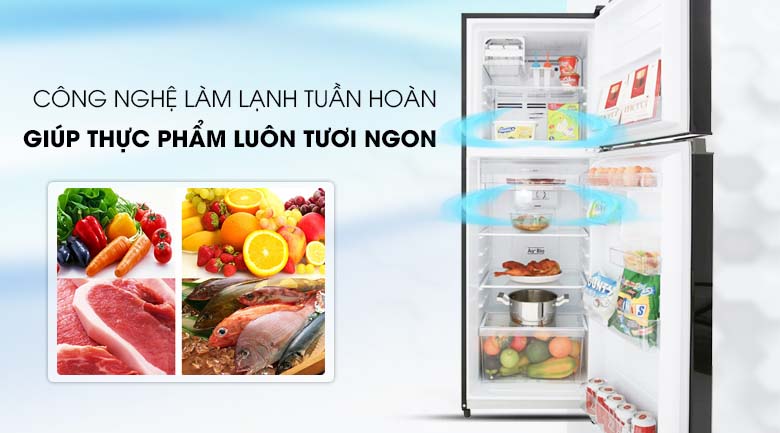 Hệ thống làm lạnh tuần hoàn hiện đại - Tủ lạnh Toshiba Inverter 233 lít GR-A28VM(UKG) Hệ thống làm lạnh tuần hoàn hiện đại - Tủ lạnh Toshiba Inverter 233 lít GR-A28VM(UKG)