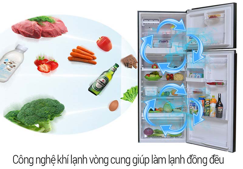 Thực phẩm được làm lạnh đồng đều và hiệu quả với luồng khí lạnh vòng cung Thực phẩm được làm lạnh đồng đều và hiệu quả với luồng khí lạnh vòng cung
