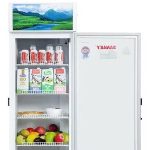 Tủ mát Sanaky 250 Lít VH-2589K dàn đồng